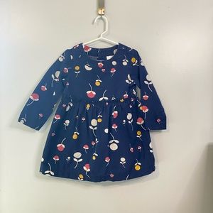 Hanna Andersson dress